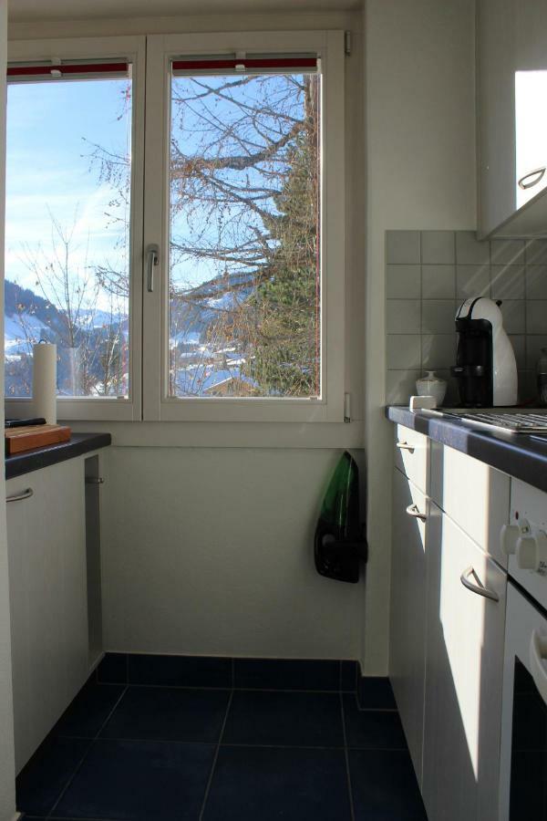 The Engstligen Appartement Adelboden Buitenkant foto