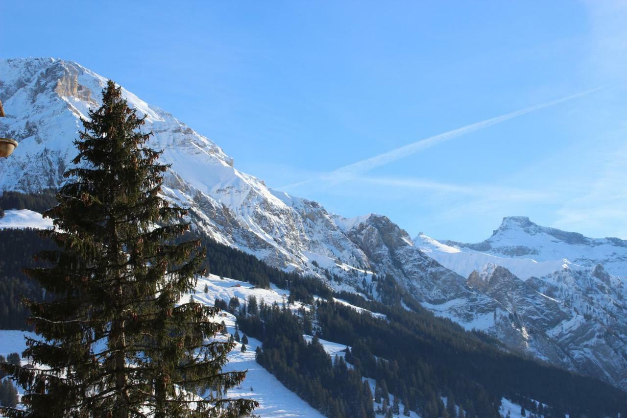The Engstligen Appartement Adelboden Buitenkant foto