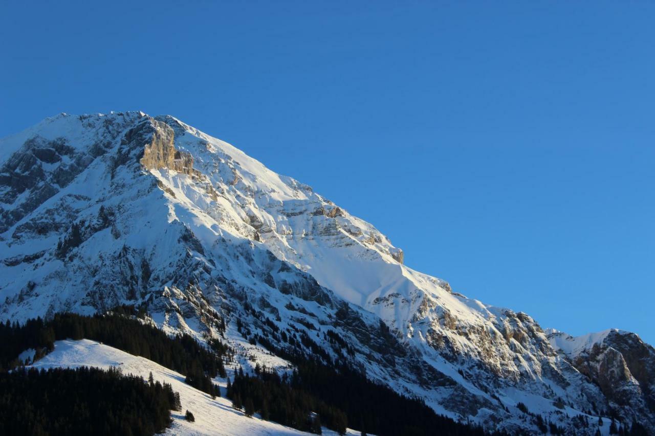 The Engstligen Appartement Adelboden Buitenkant foto