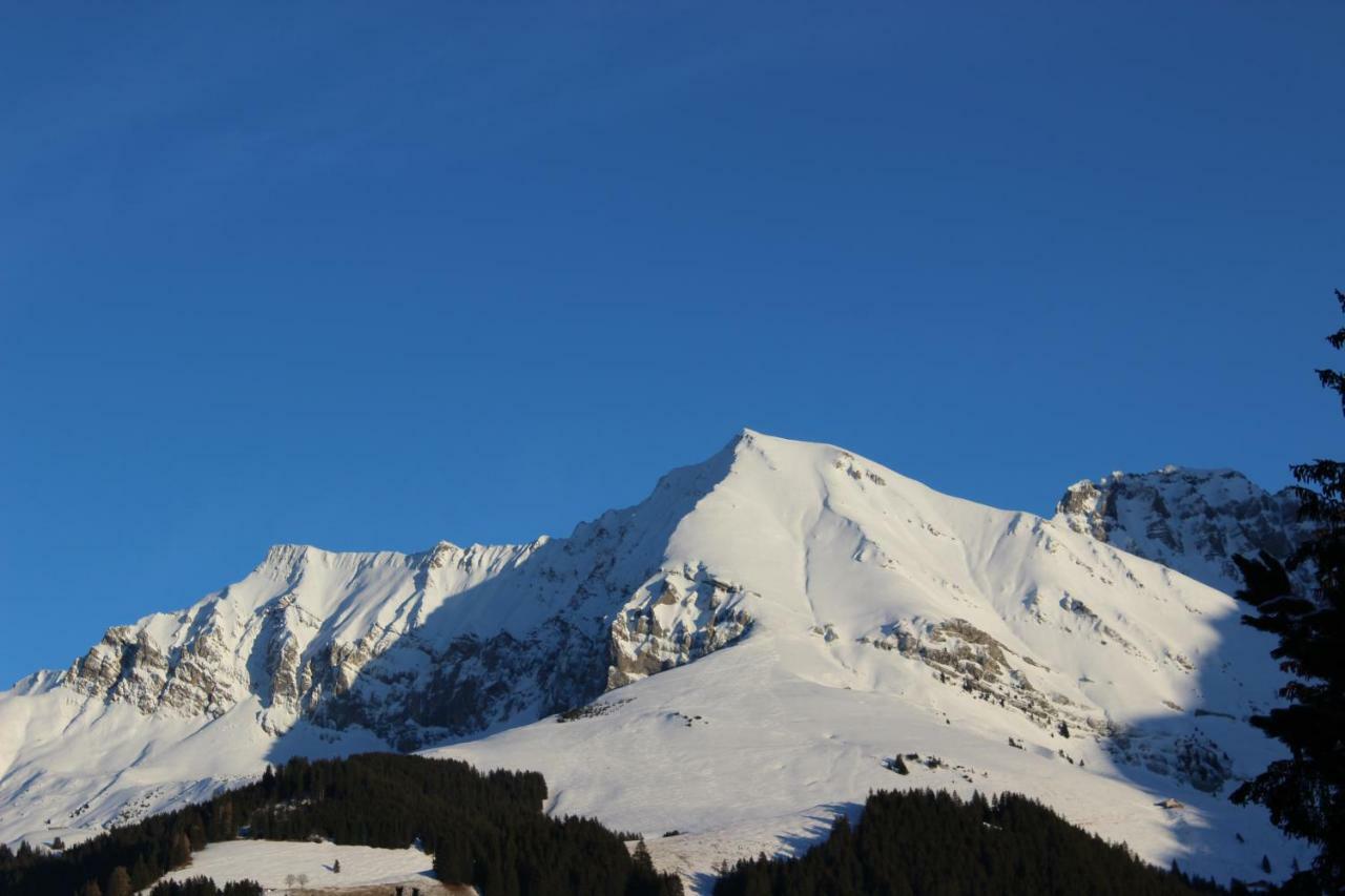 The Engstligen Appartement Adelboden Buitenkant foto