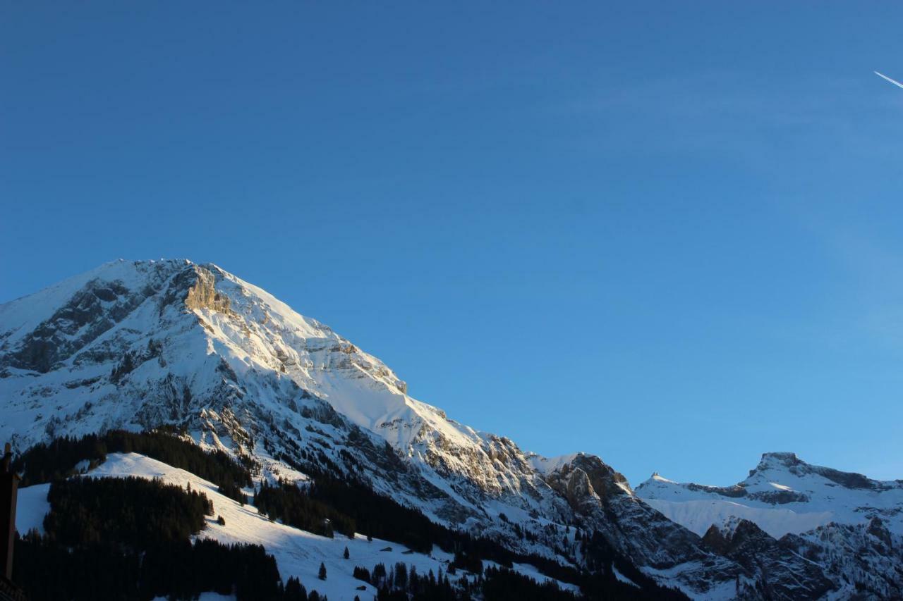 The Engstligen Appartement Adelboden Buitenkant foto